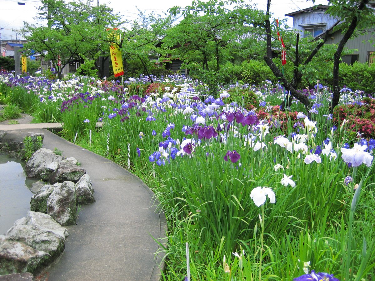 ⛩️ 지류 신사(치류진자) 이미지 10